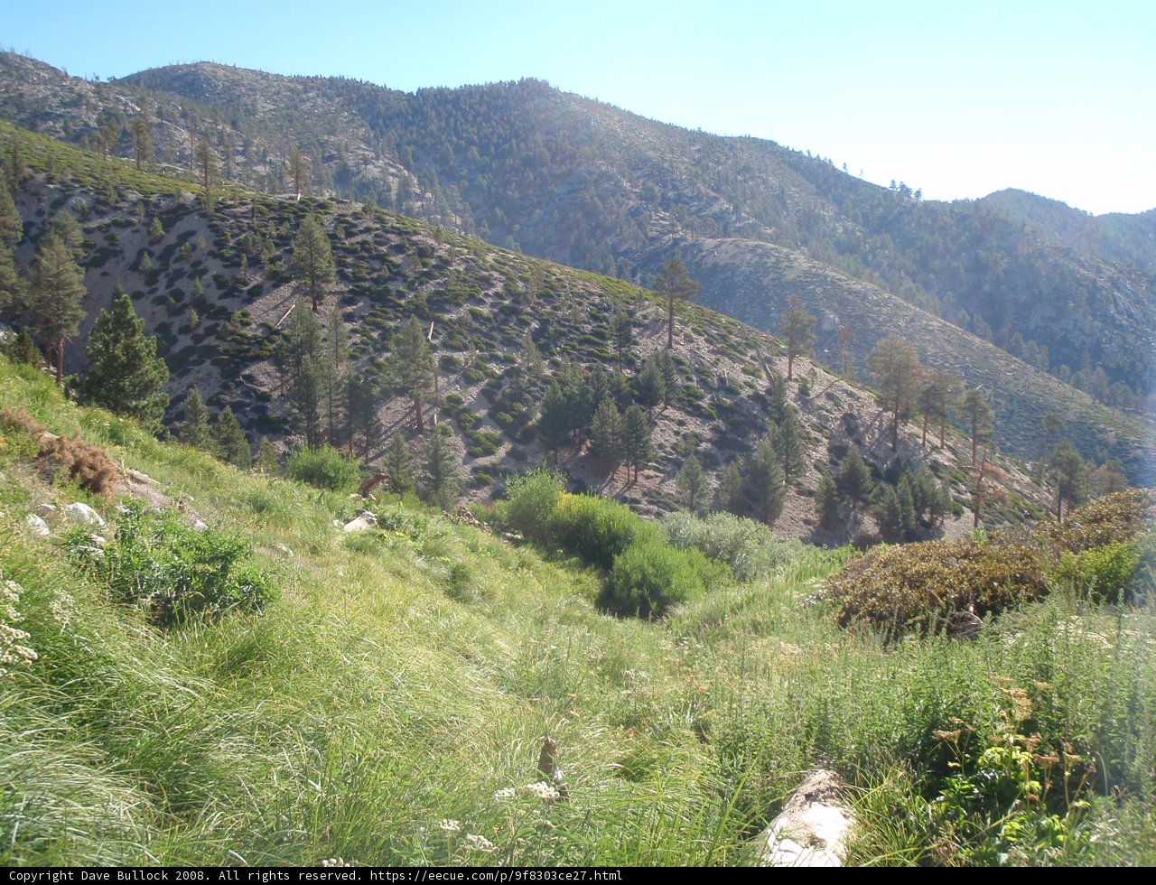 Train Ride Through San Gorgonio Wilderness