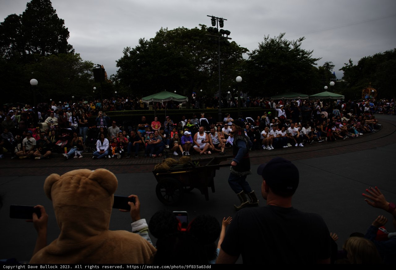 A Beary Unique Encounter at Disneyland
