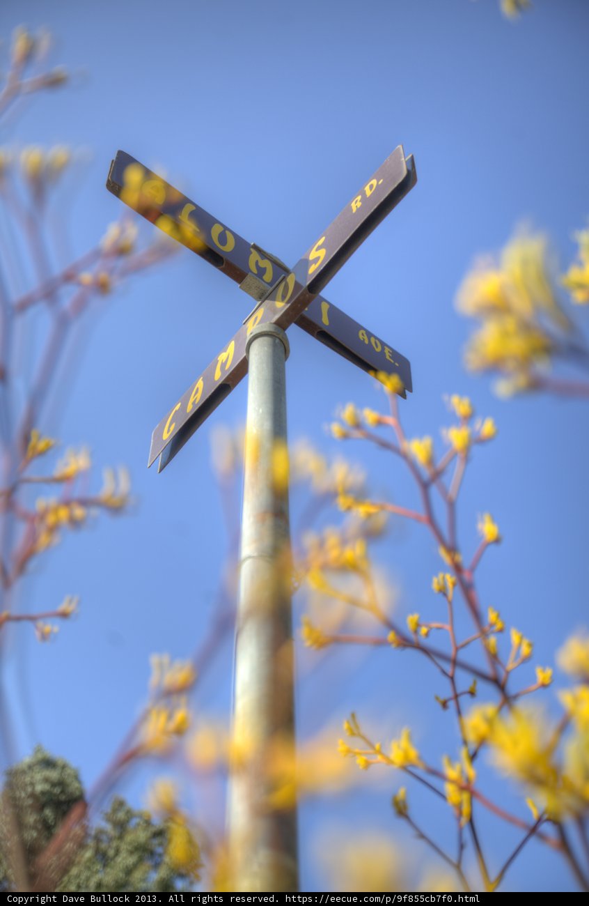 Crossing through Nature
