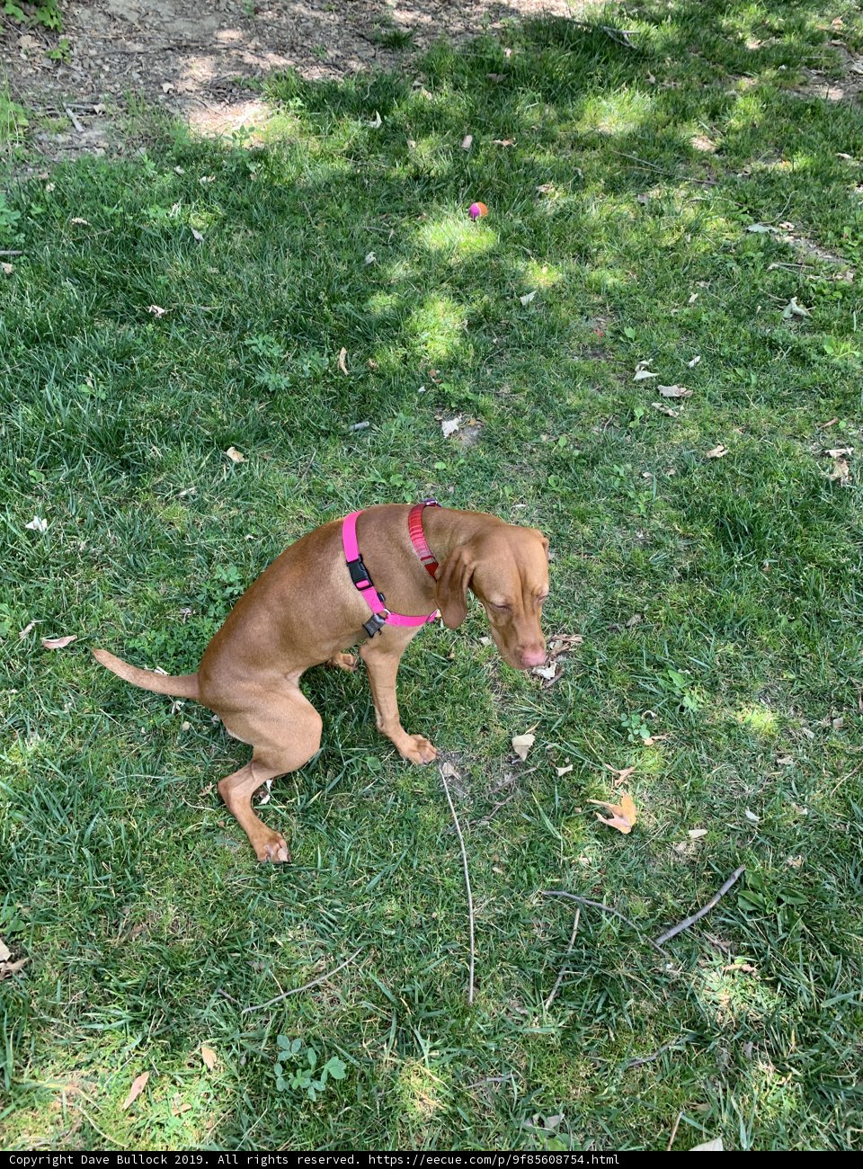 Relaxing in the Grass