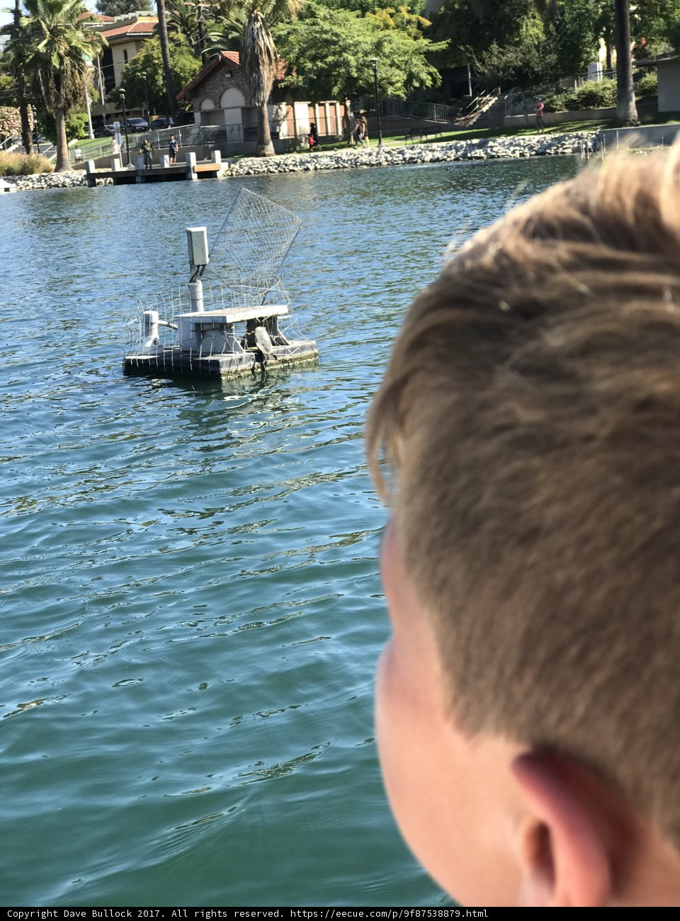 A Young Explorer by the Waterfront