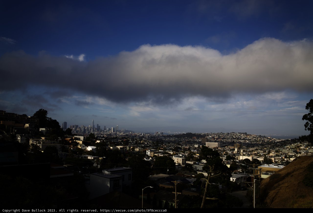 Hillside View Over the Vibrant Cityscape