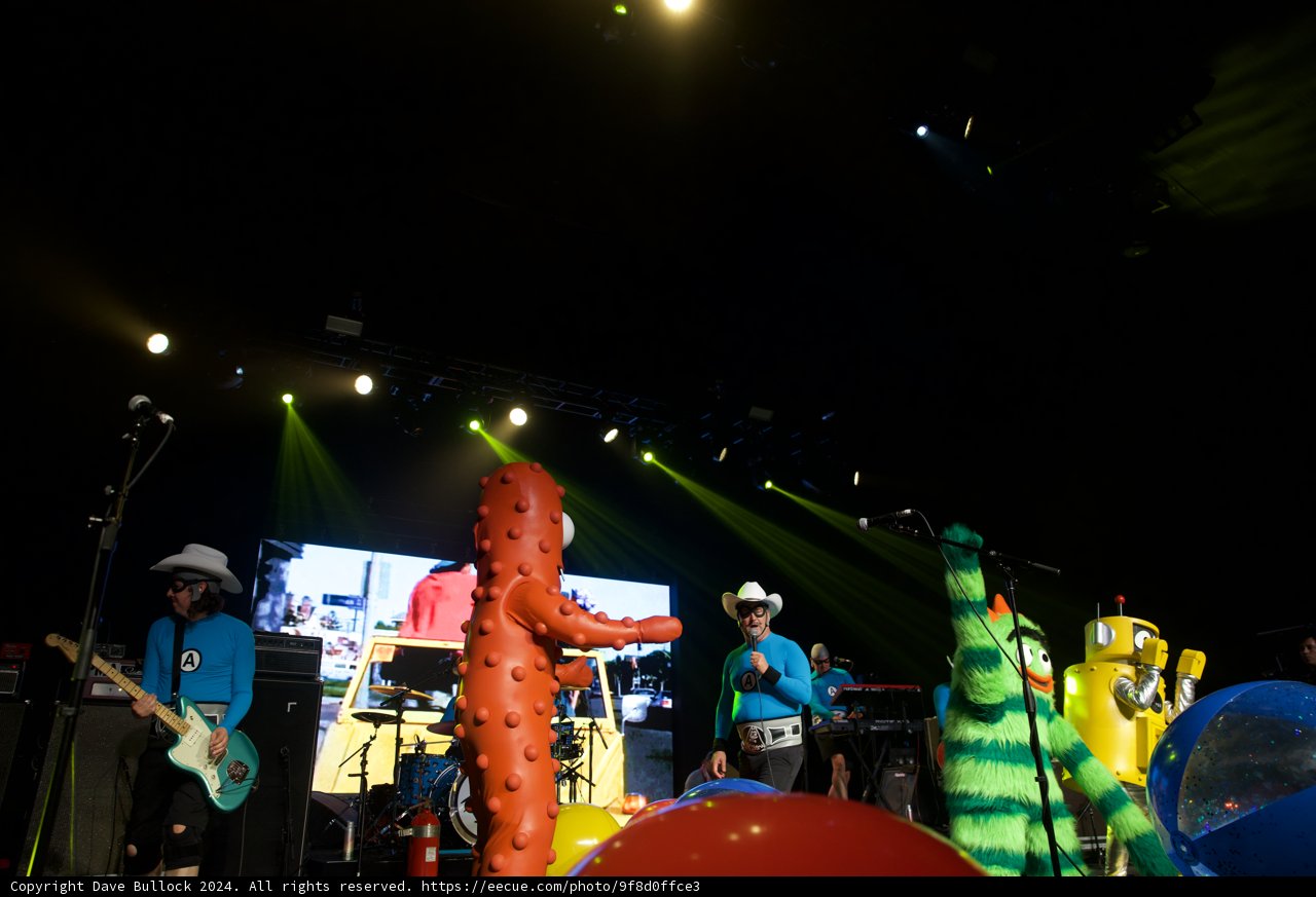 Electric Extravaganza: A Night of Vibrant Music and Colorful Characters