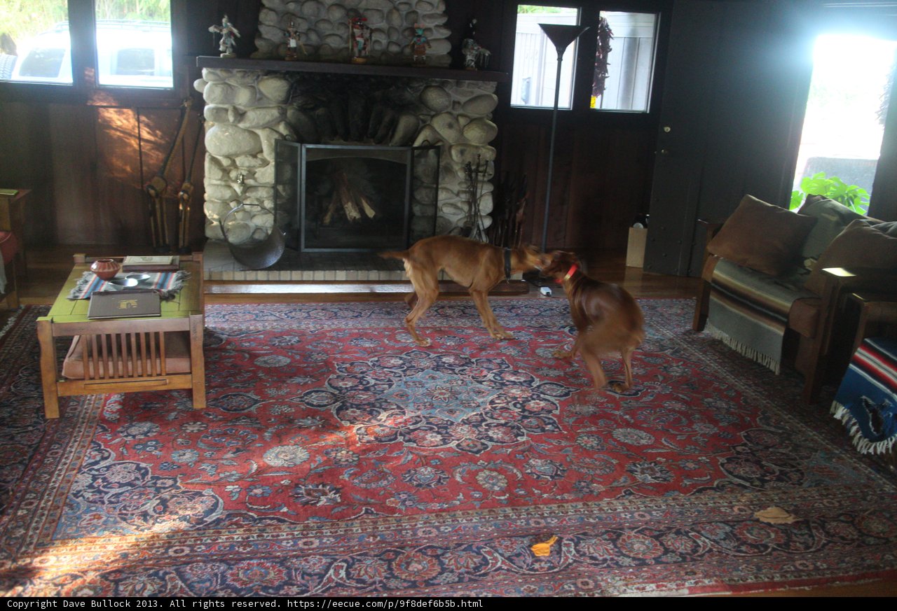 Playtime in the Living Room