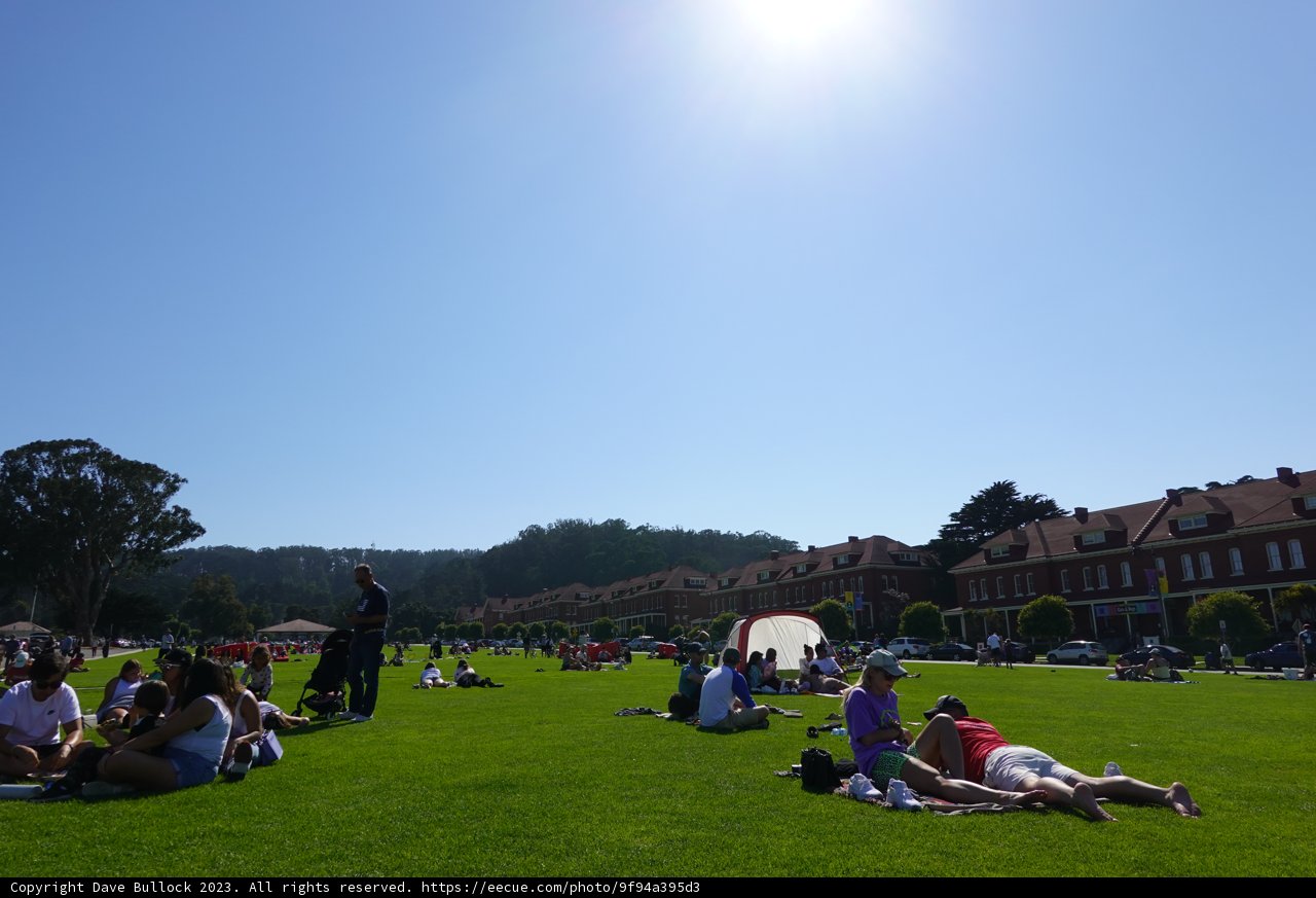 Summer Bliss: A Day in the Park