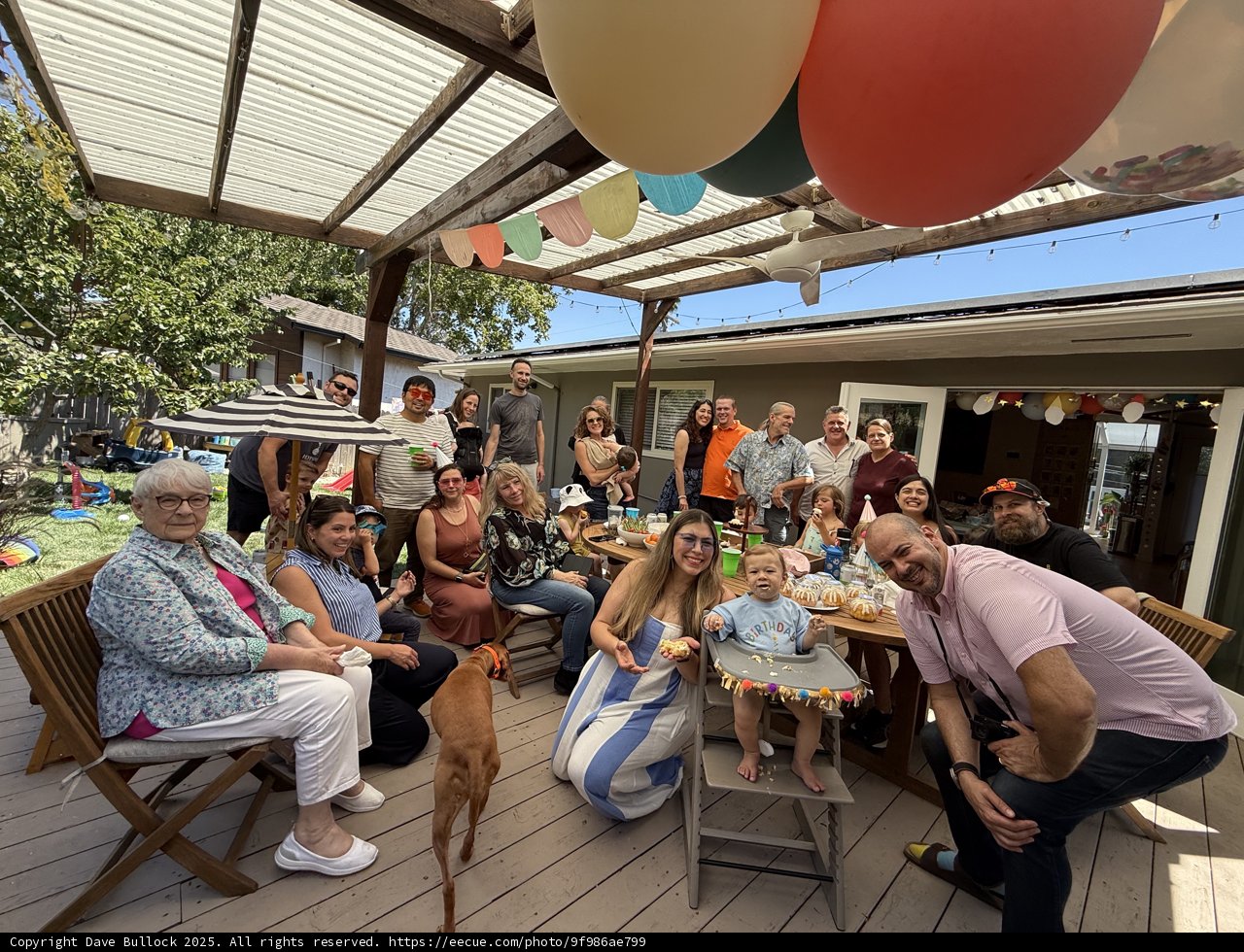 Joyful Gatherings Under the Sun