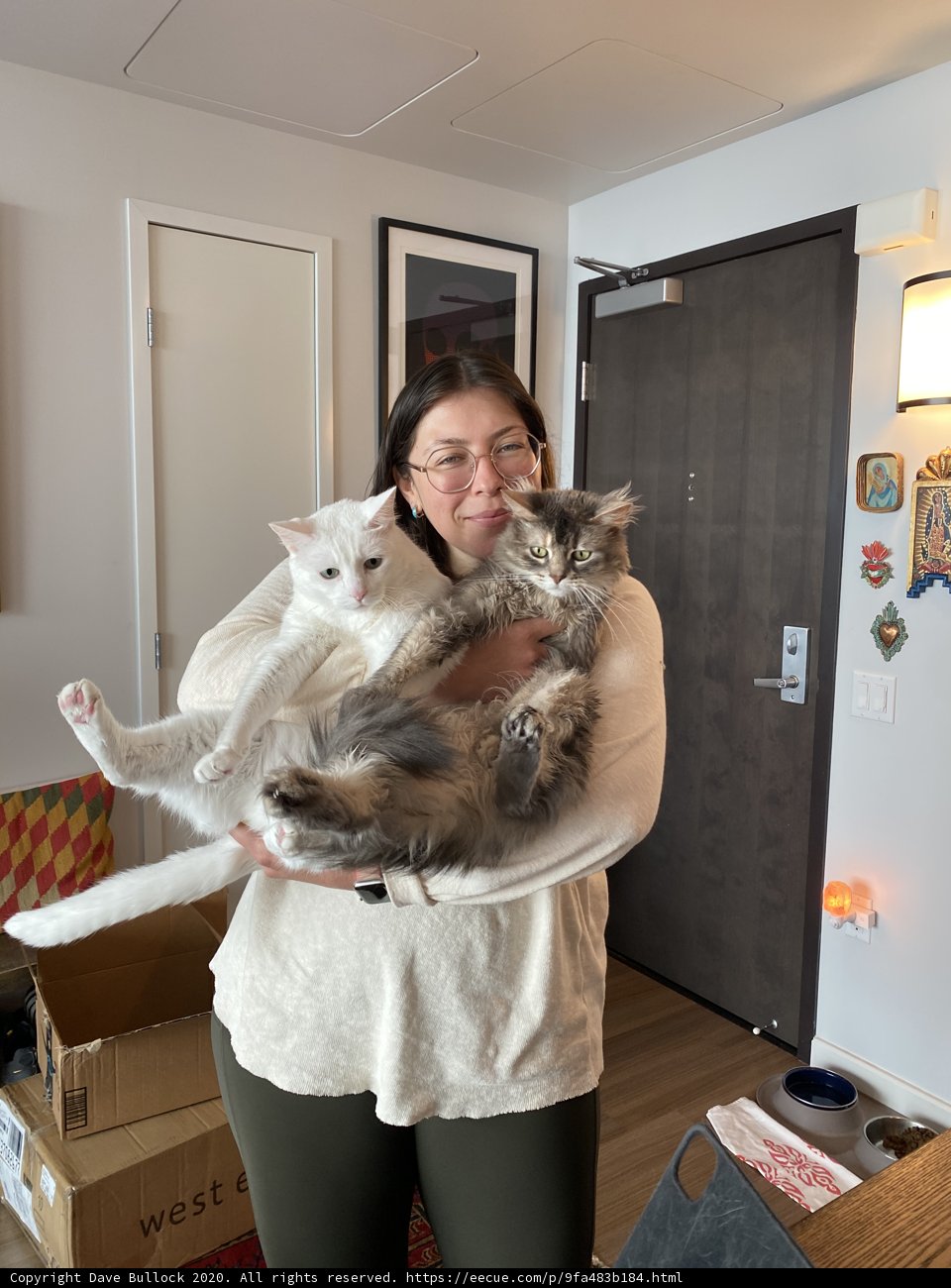 Cat Lady in San Francisco