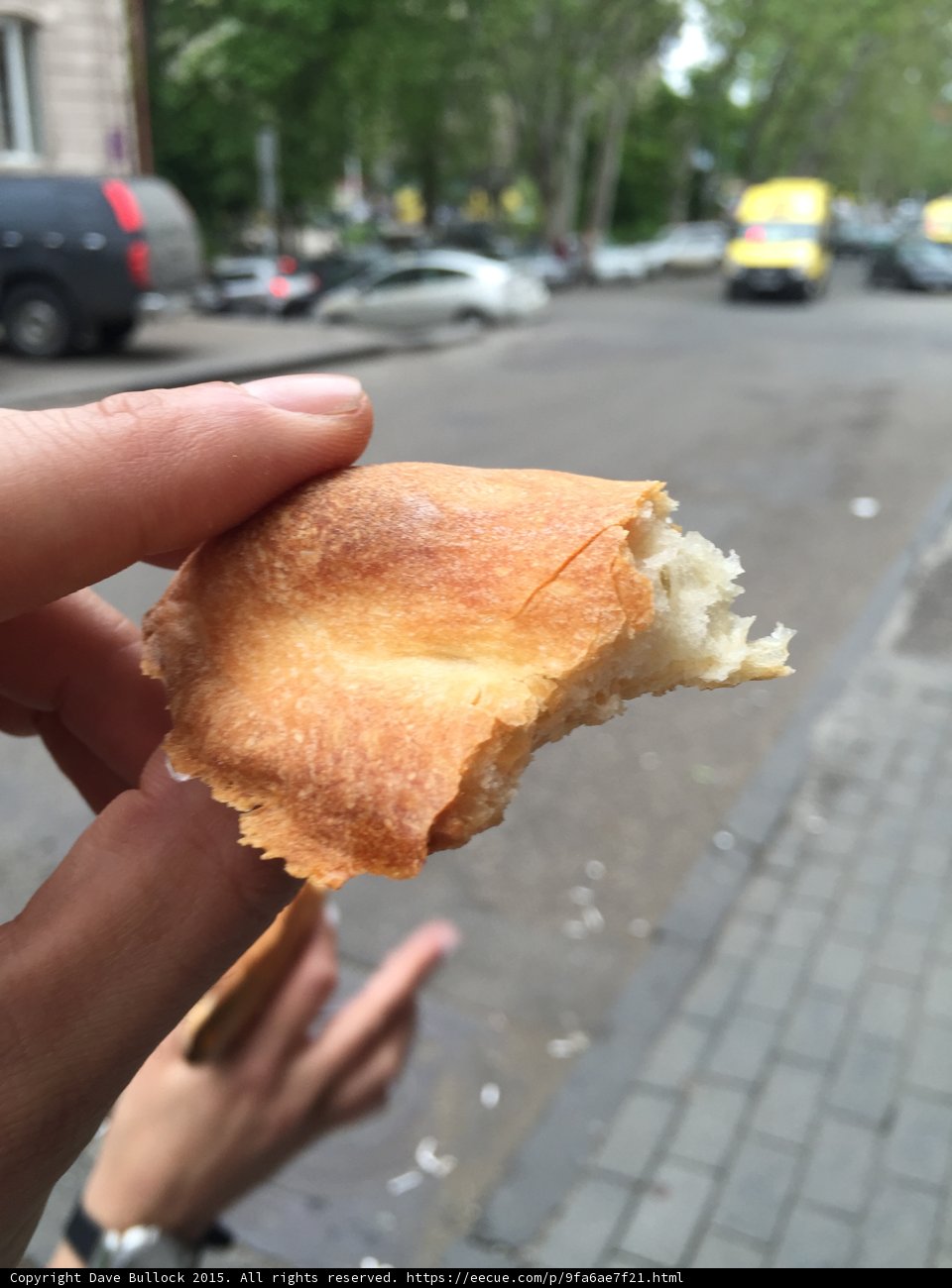 Golden Shoti Bread