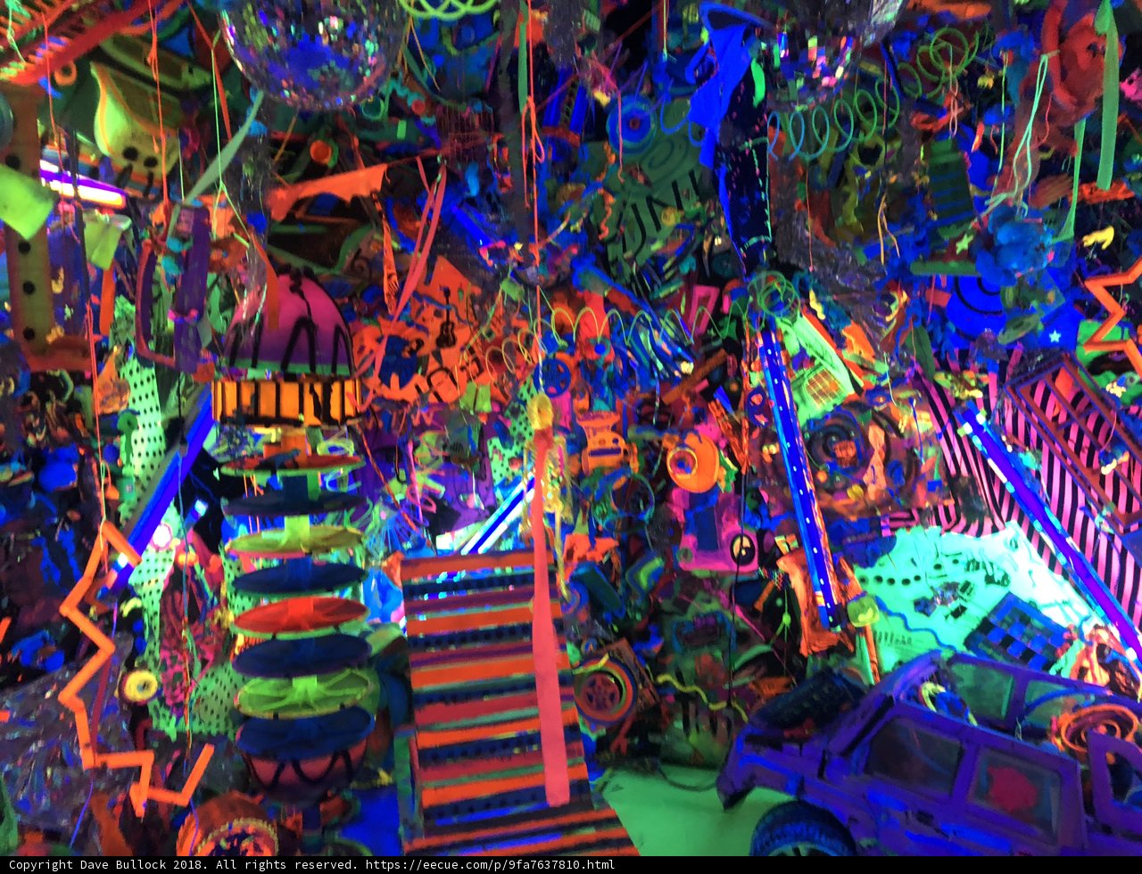 Neon Wonderland