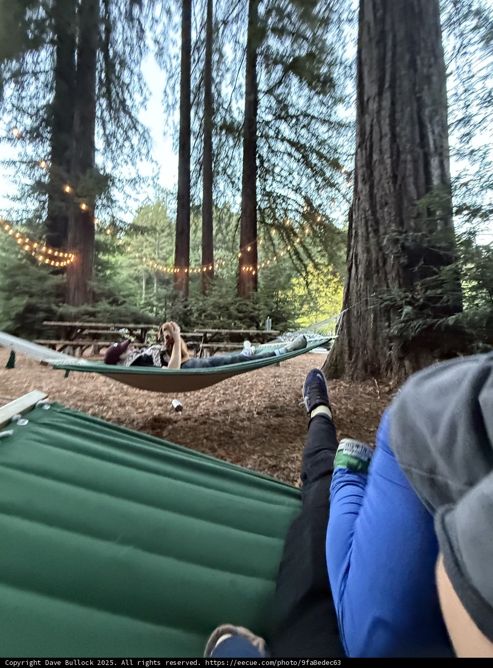 Tranquil Dusk in Guerneville