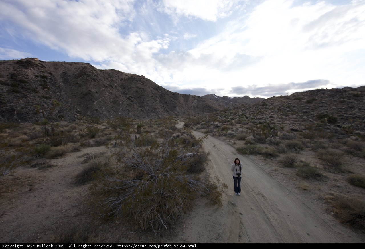 Wanderlust in the Wilderness