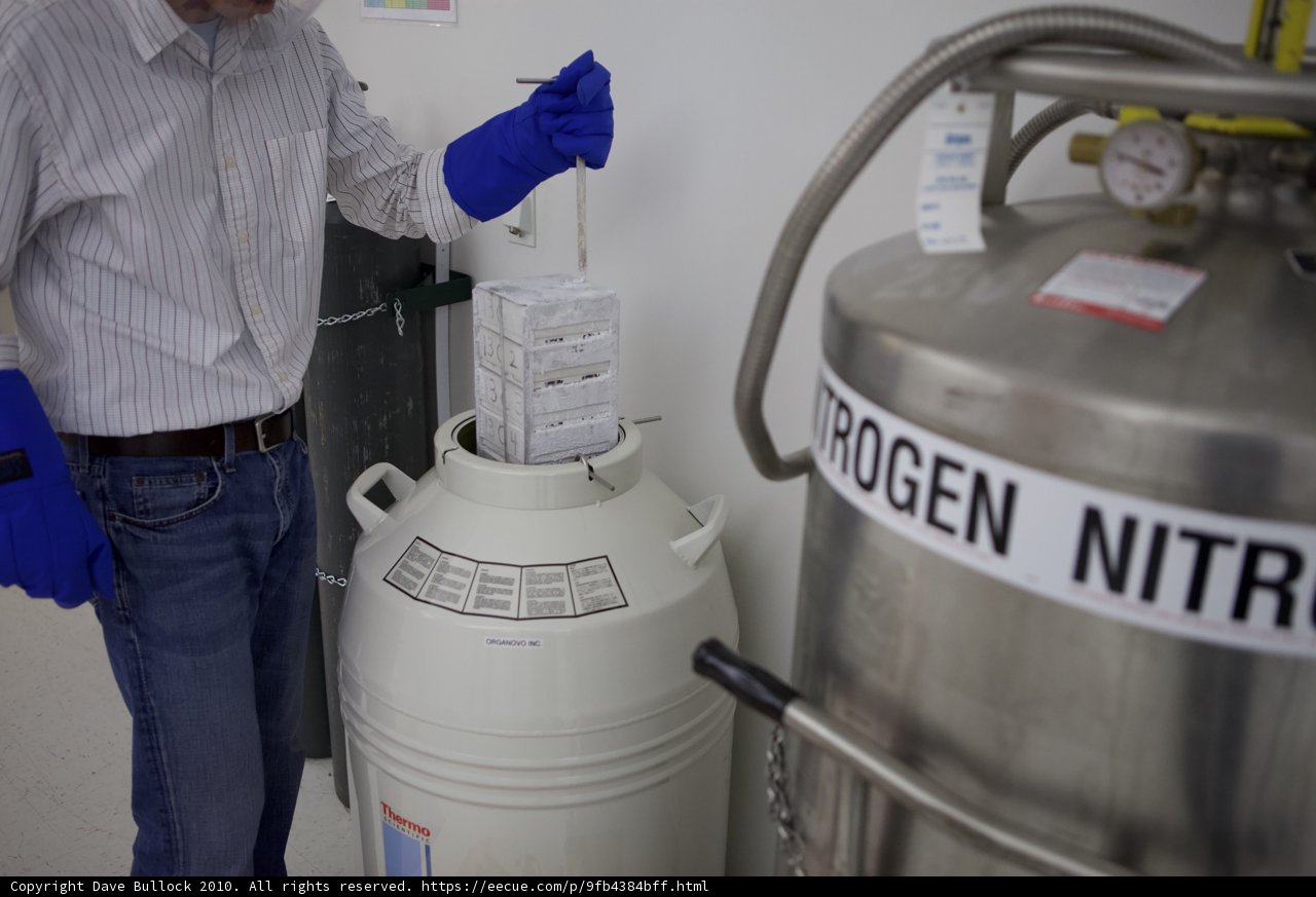 Handling Dangerous Chemicals