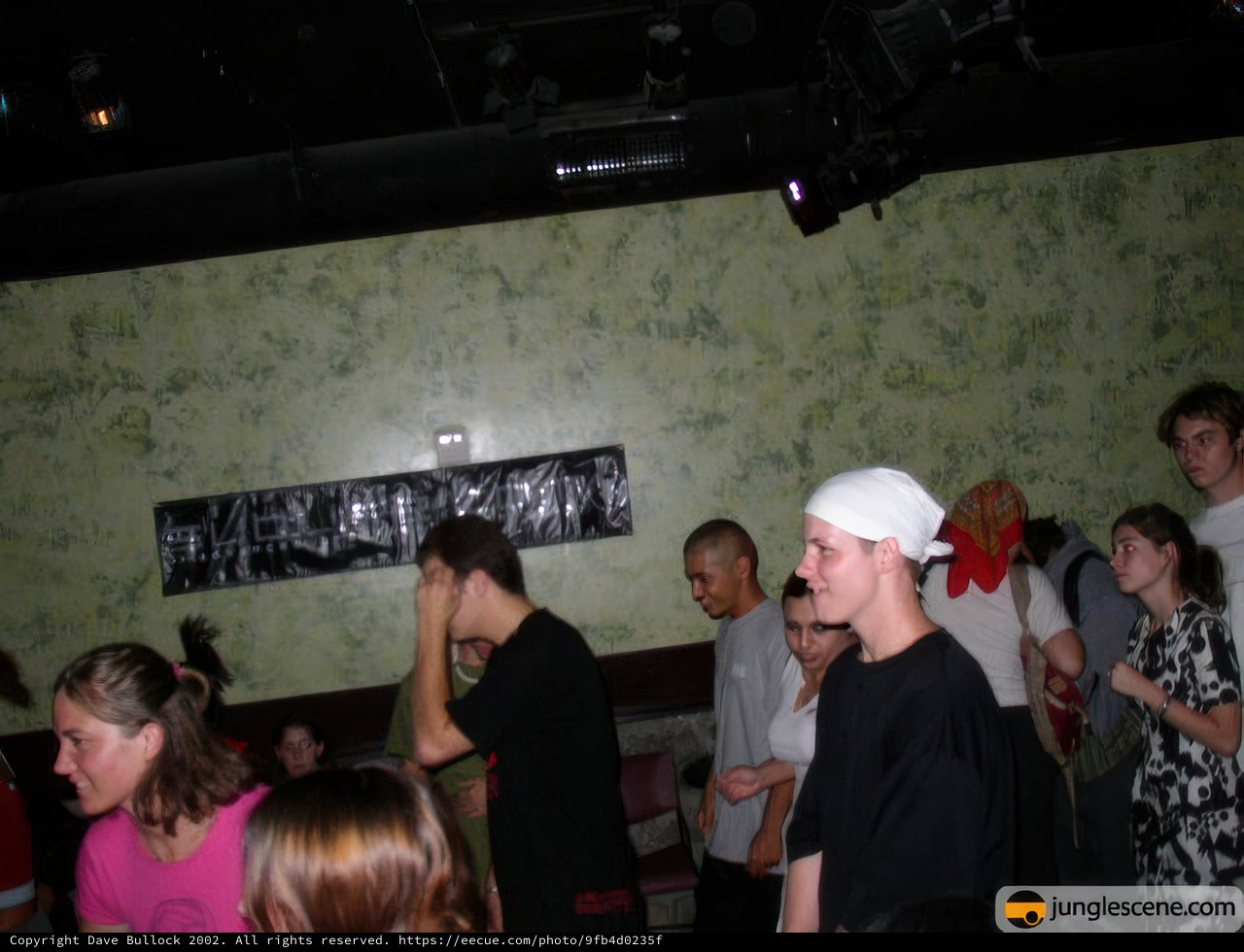 Nightclub Crowd