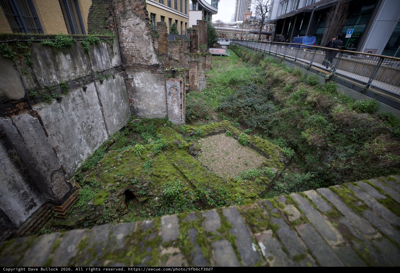 Abandoned Ruins Reclaimed by Nature in Urban London