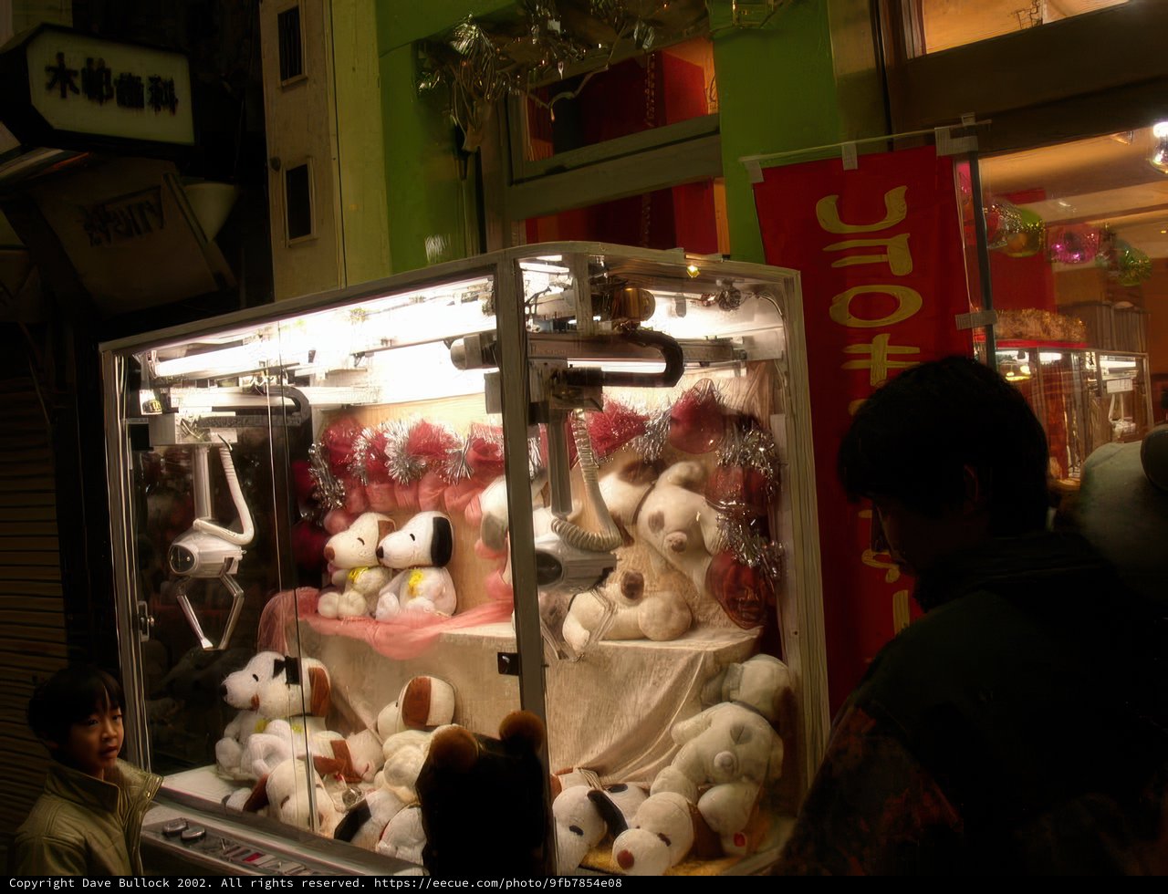 A Man and His Plush Friends