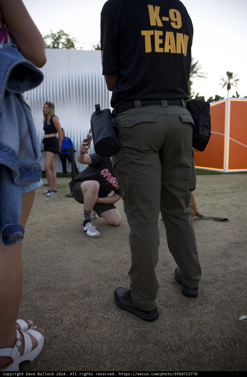 Vigilance at Coachella: Behind the Scenes with K-9 Security