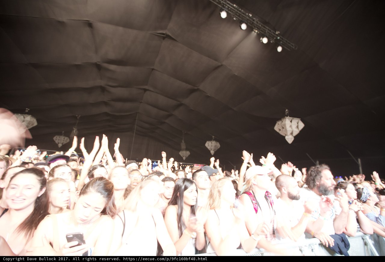 Ecstatic Crowd at Coachella