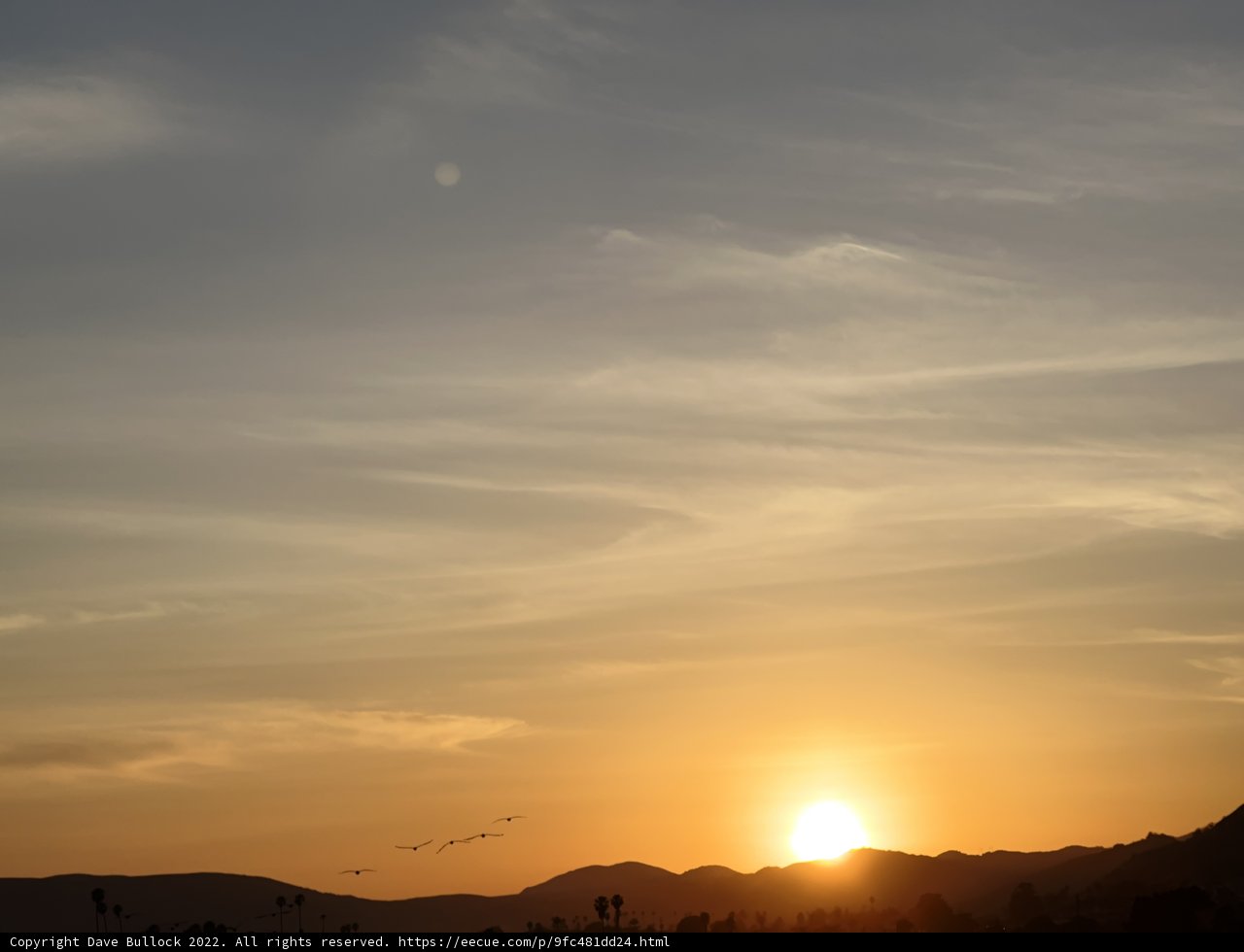 Golden Hour in Pismo Beach