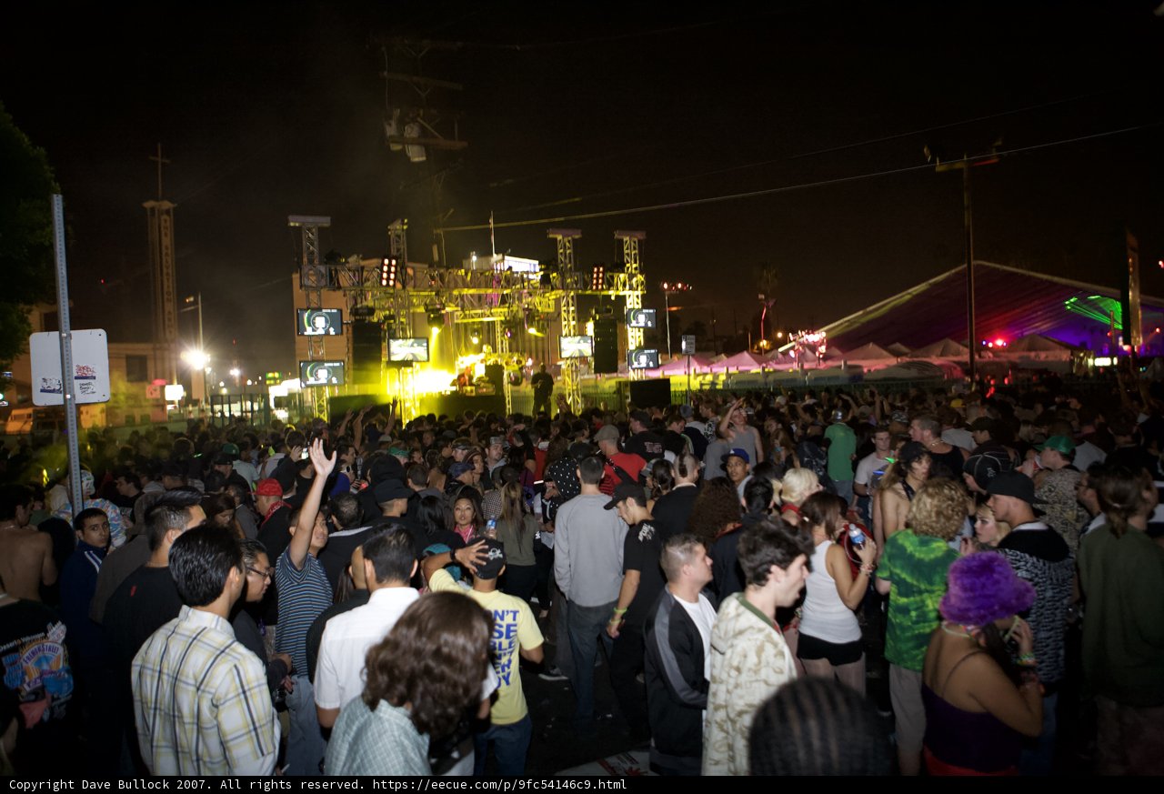 Nocturnal Beats