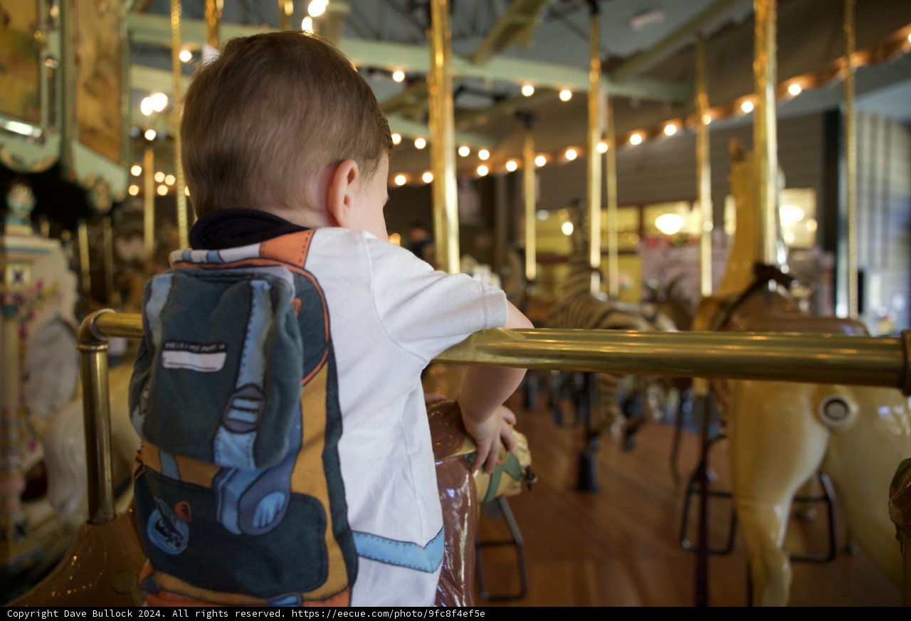 First Carousel Ride: A Toddler's Adventure