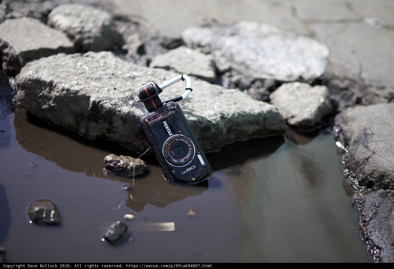 Abandoned Camera Capture