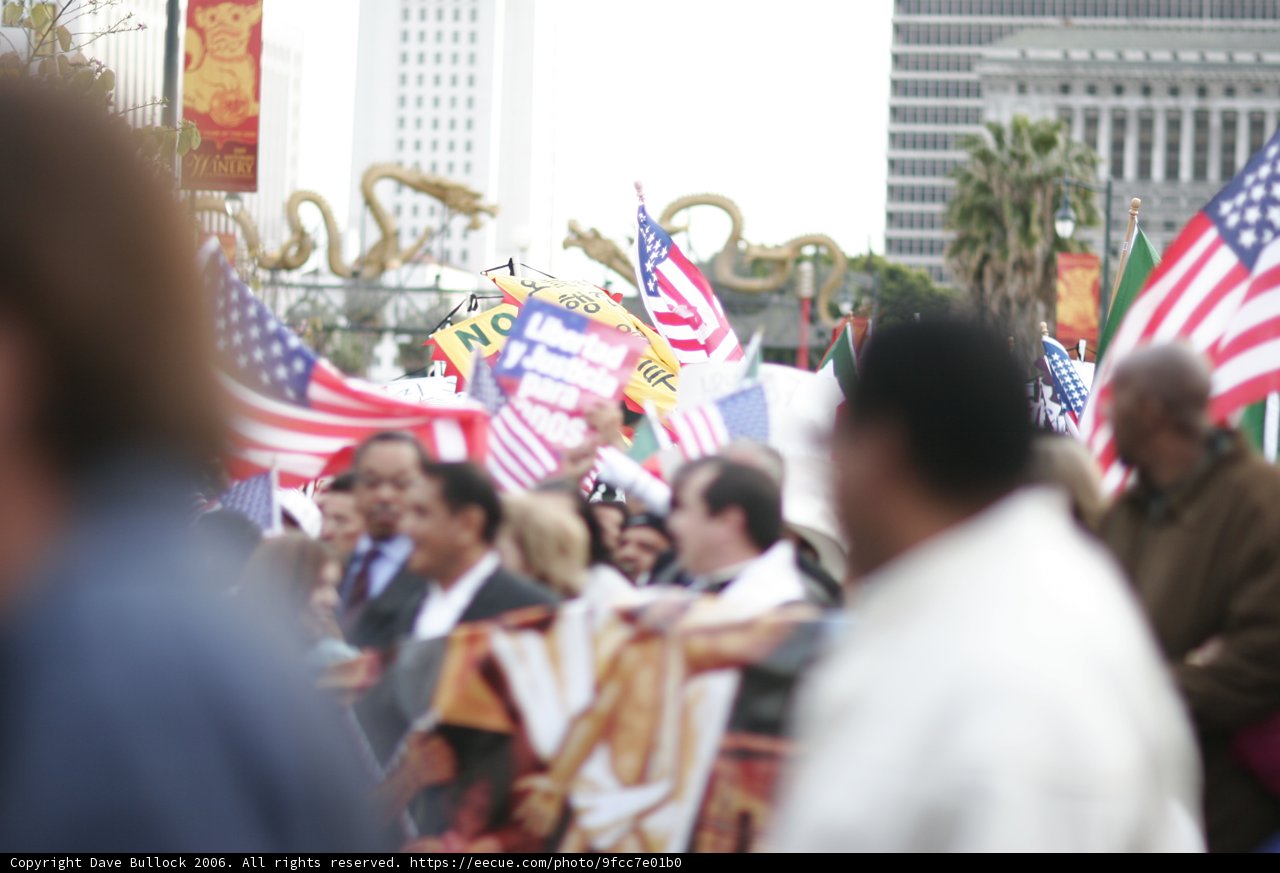 Patriotic Crowd