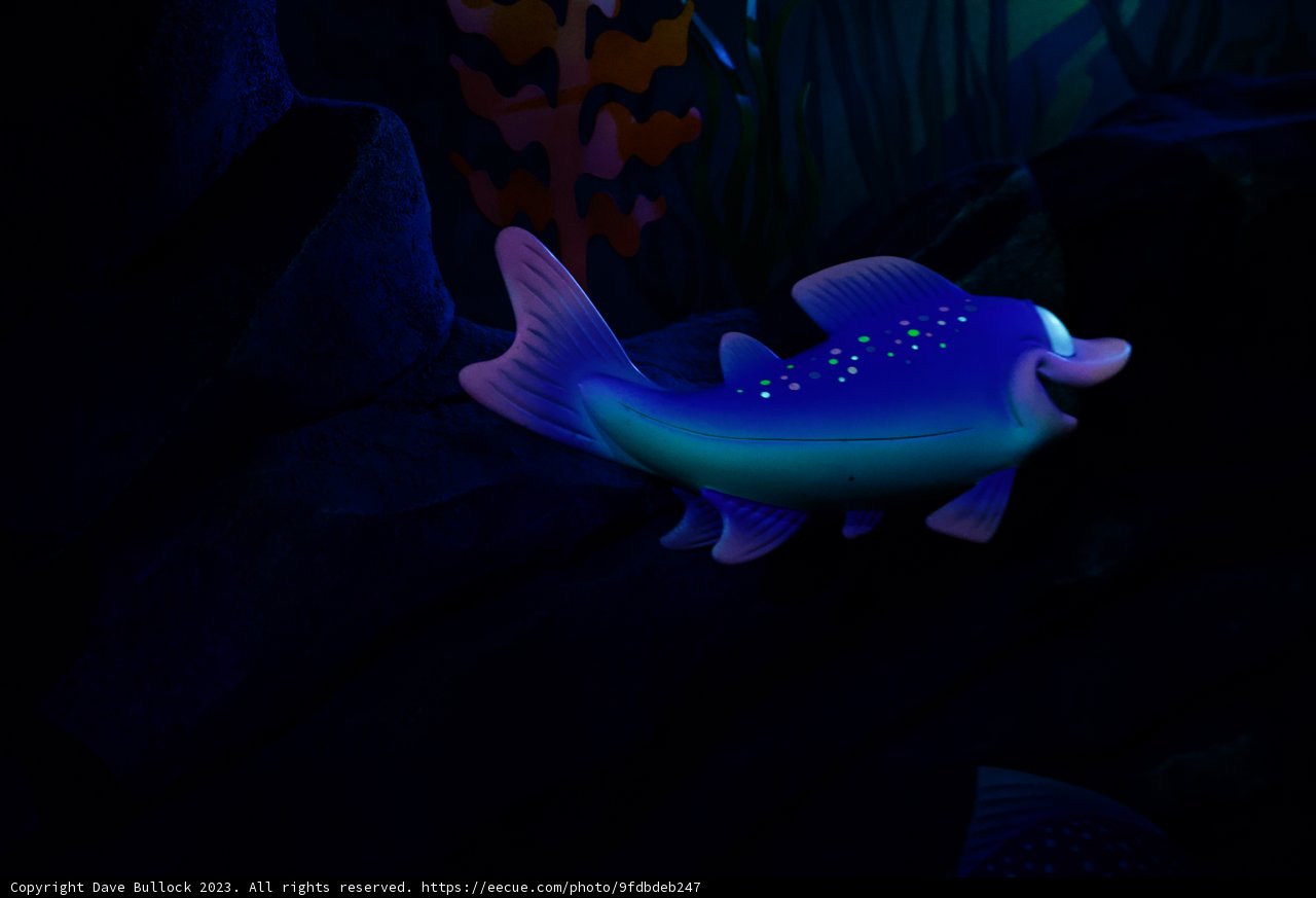 Enchanting Colors of the Deep