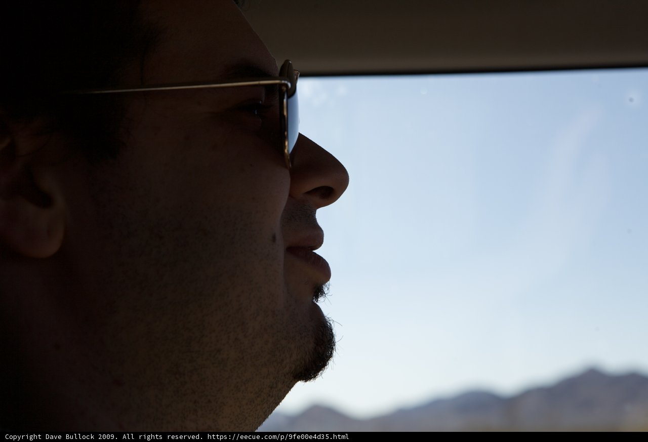 Out for a Drive