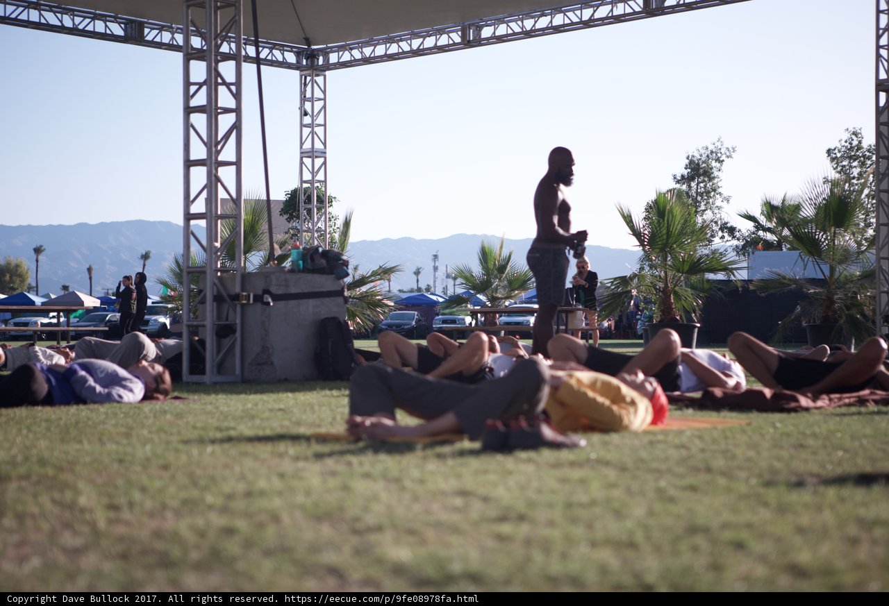Sunny Day at Coachella