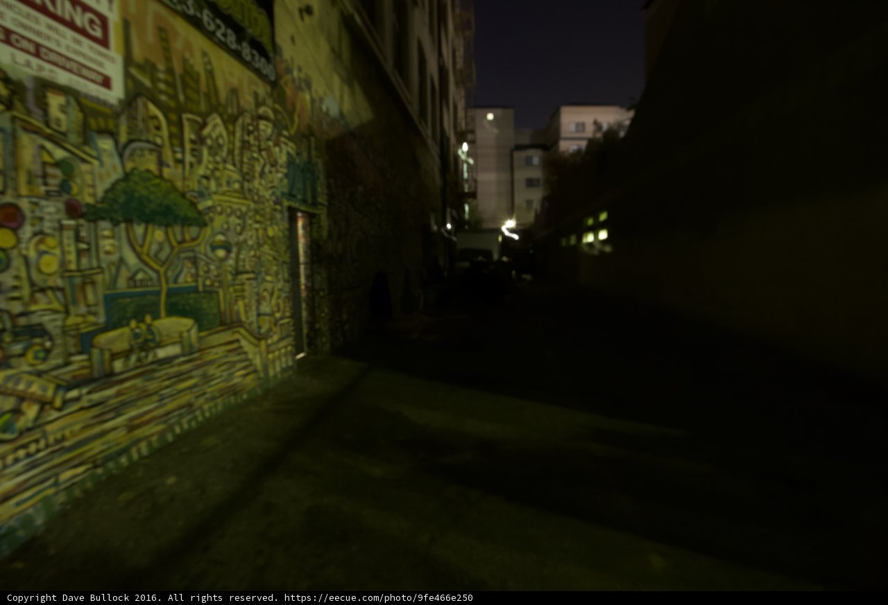The Artistic Path of the Urban Jungle