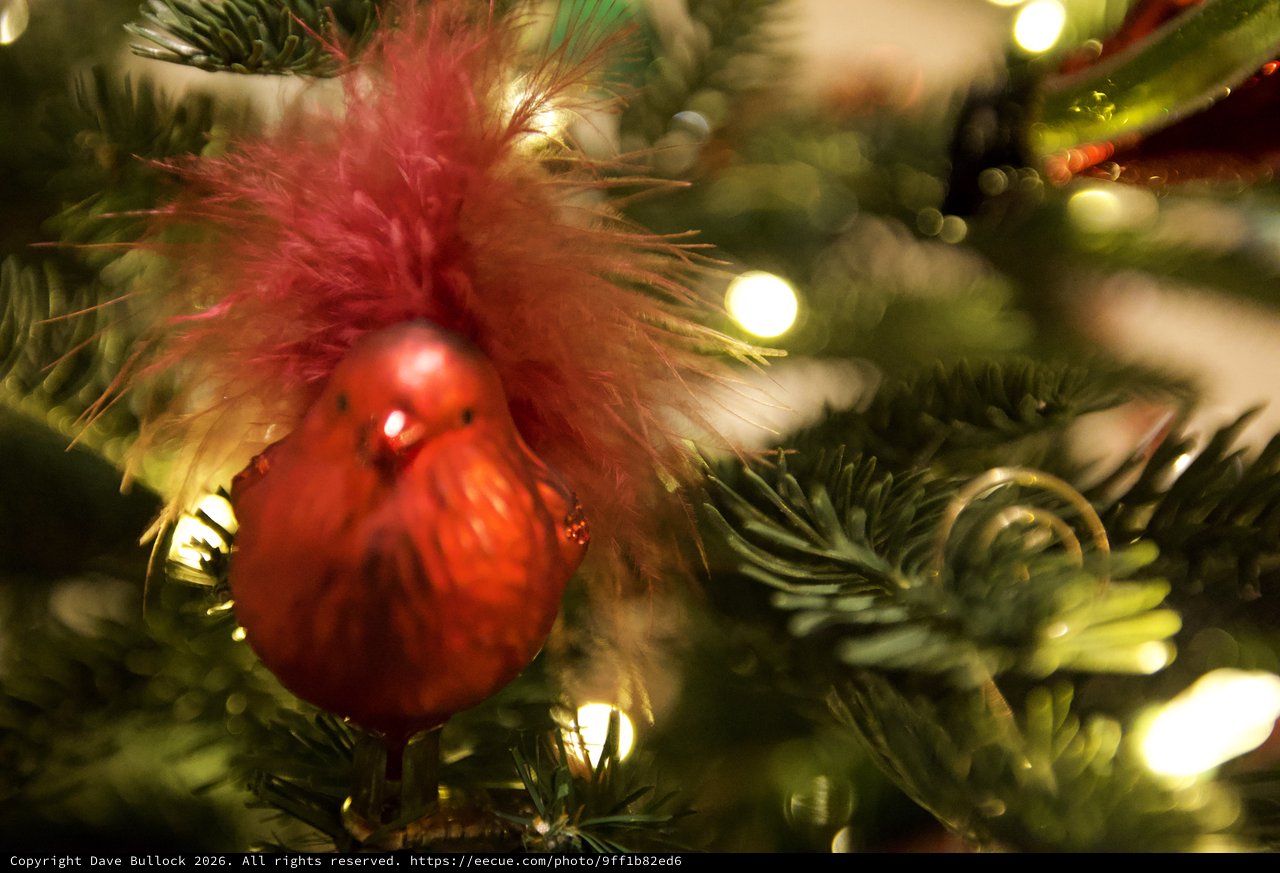 Red Ornament Nestled in Fluffy Christmas Tree Decoration