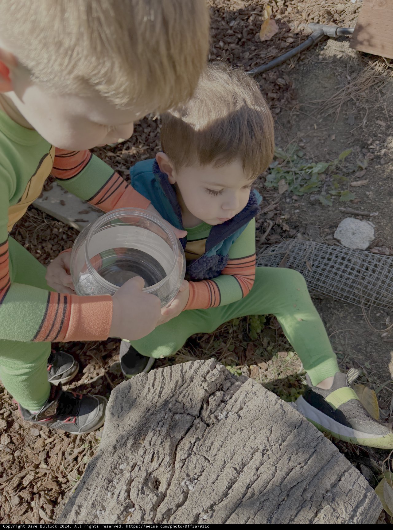 Children Exploring Nature with Magnifying Glass
