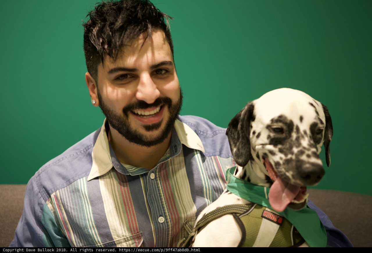 Man's Best Friend