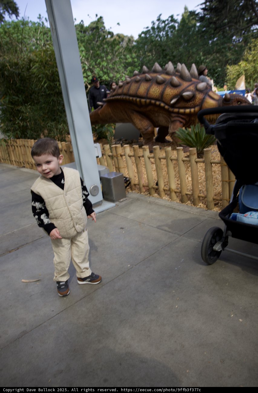 A Day with Dinosaurs