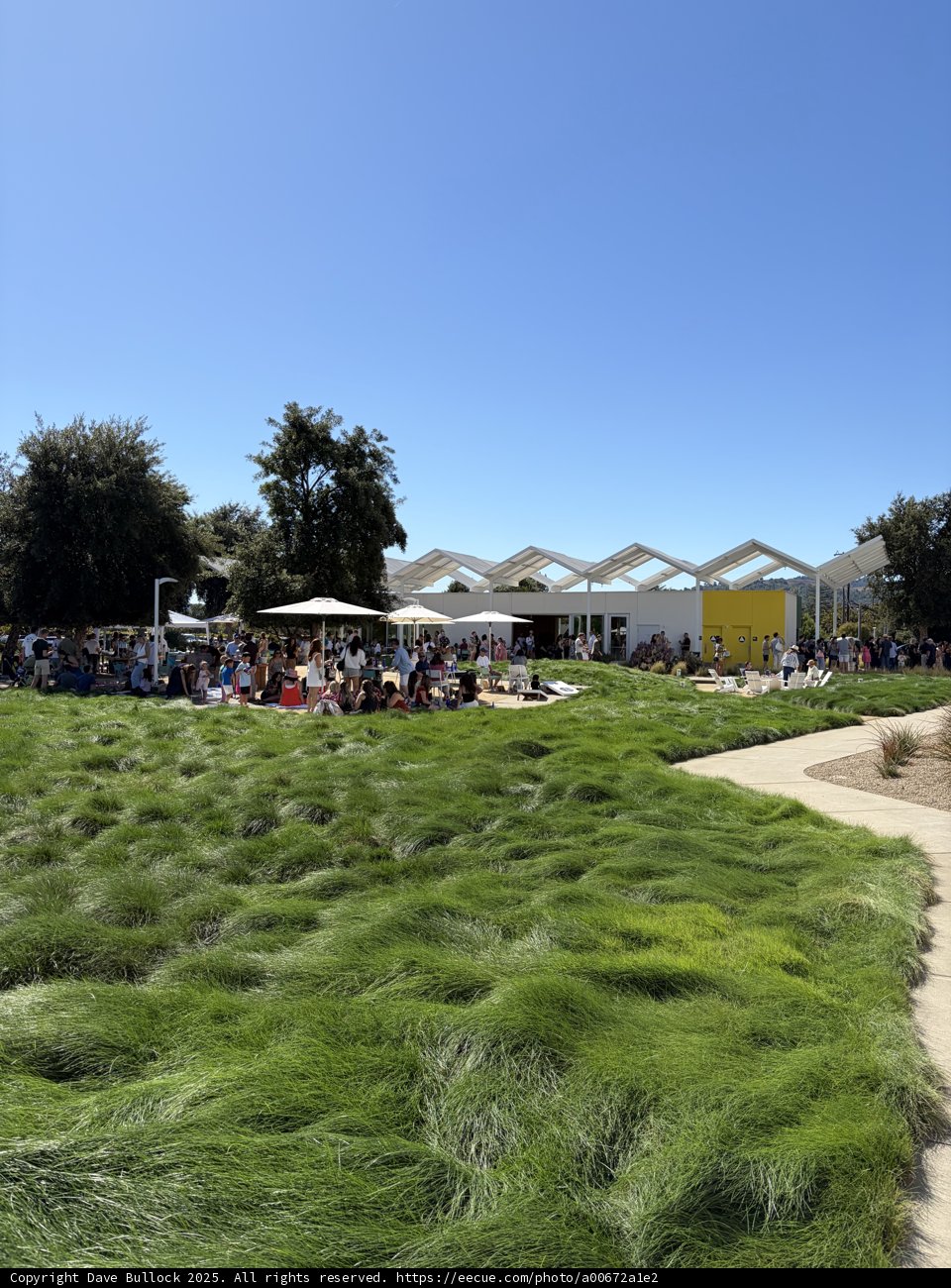 Sunny Day Gathering in Napa