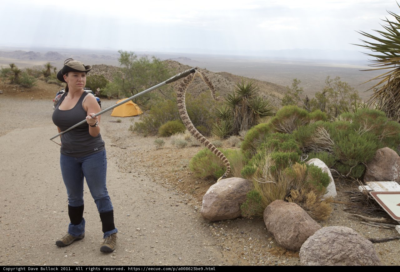 Desert Trekker