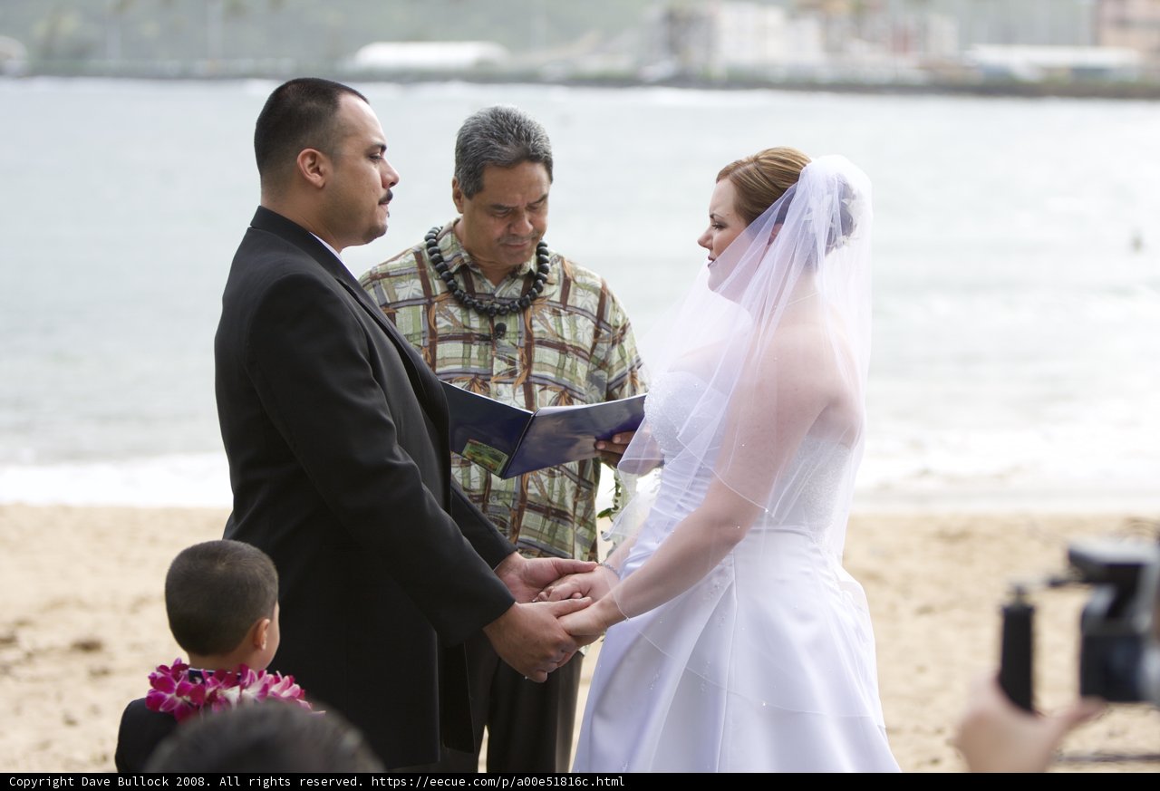 A Wedding in Paradise