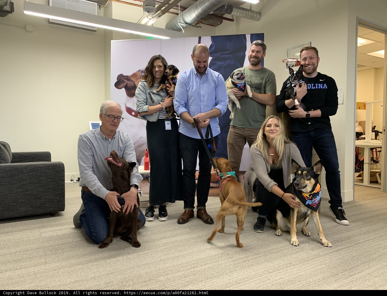 Office Pals