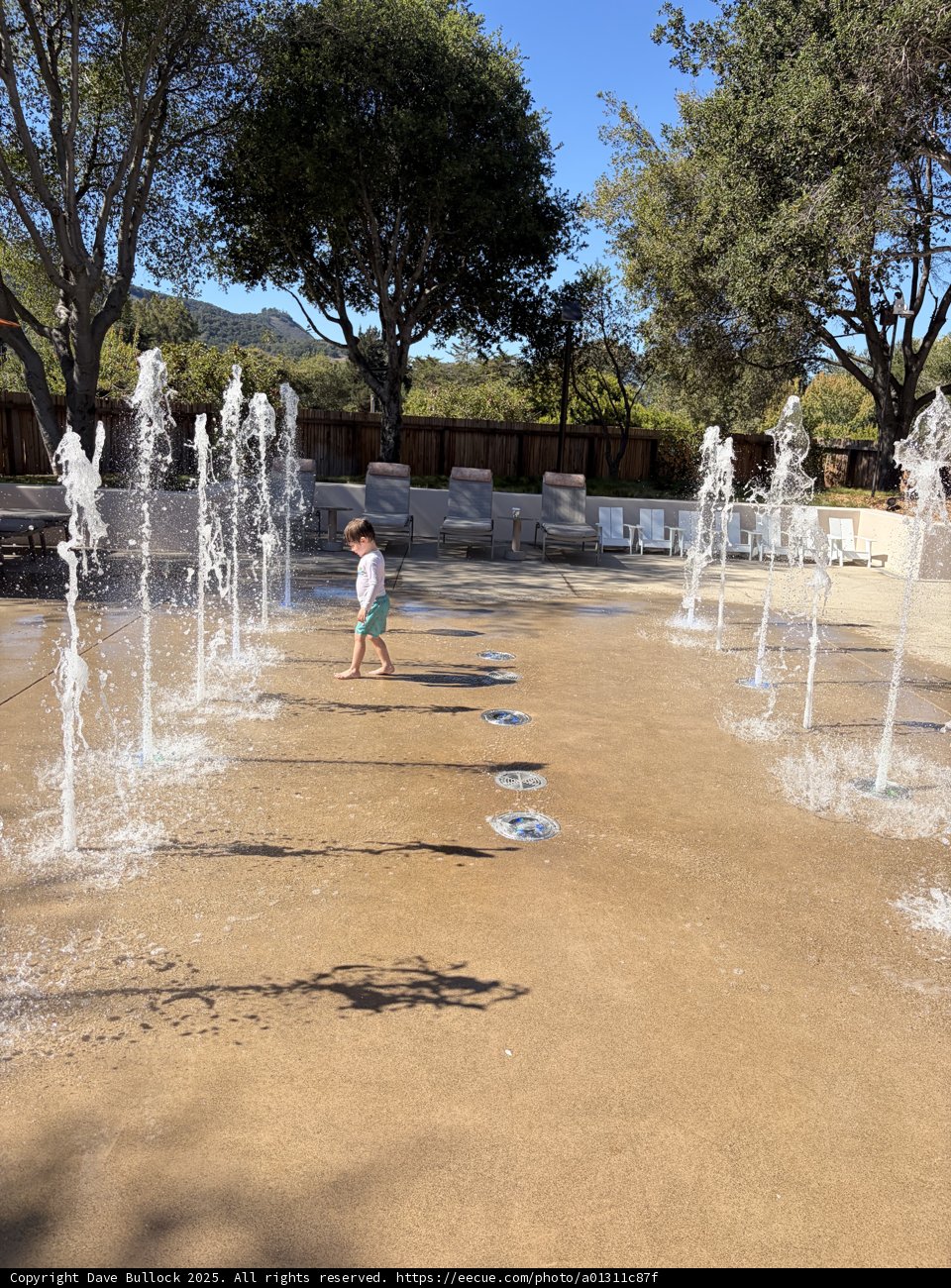 Splashing Through Sunny Days
