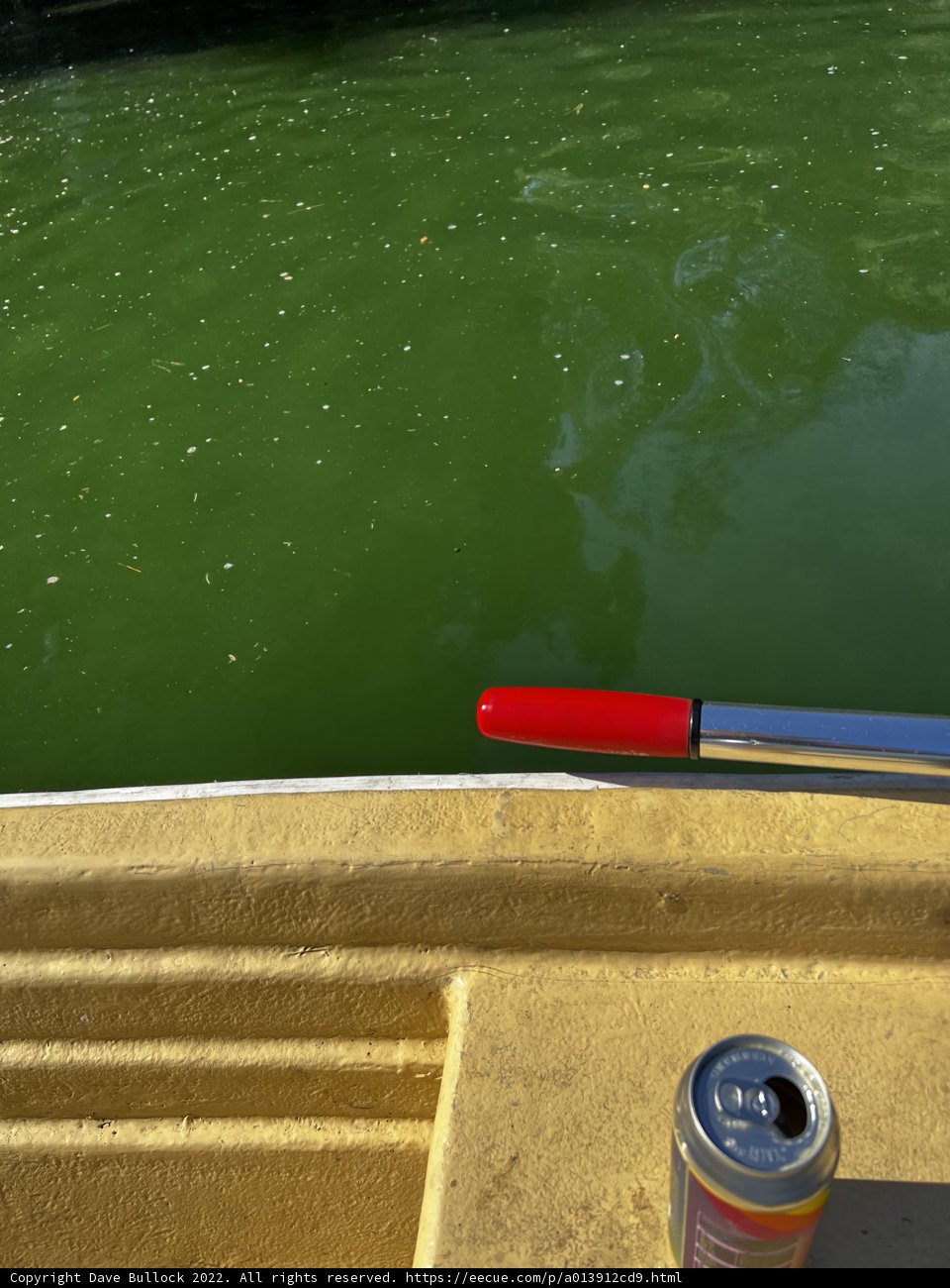 Refreshing Break on the Rowboat