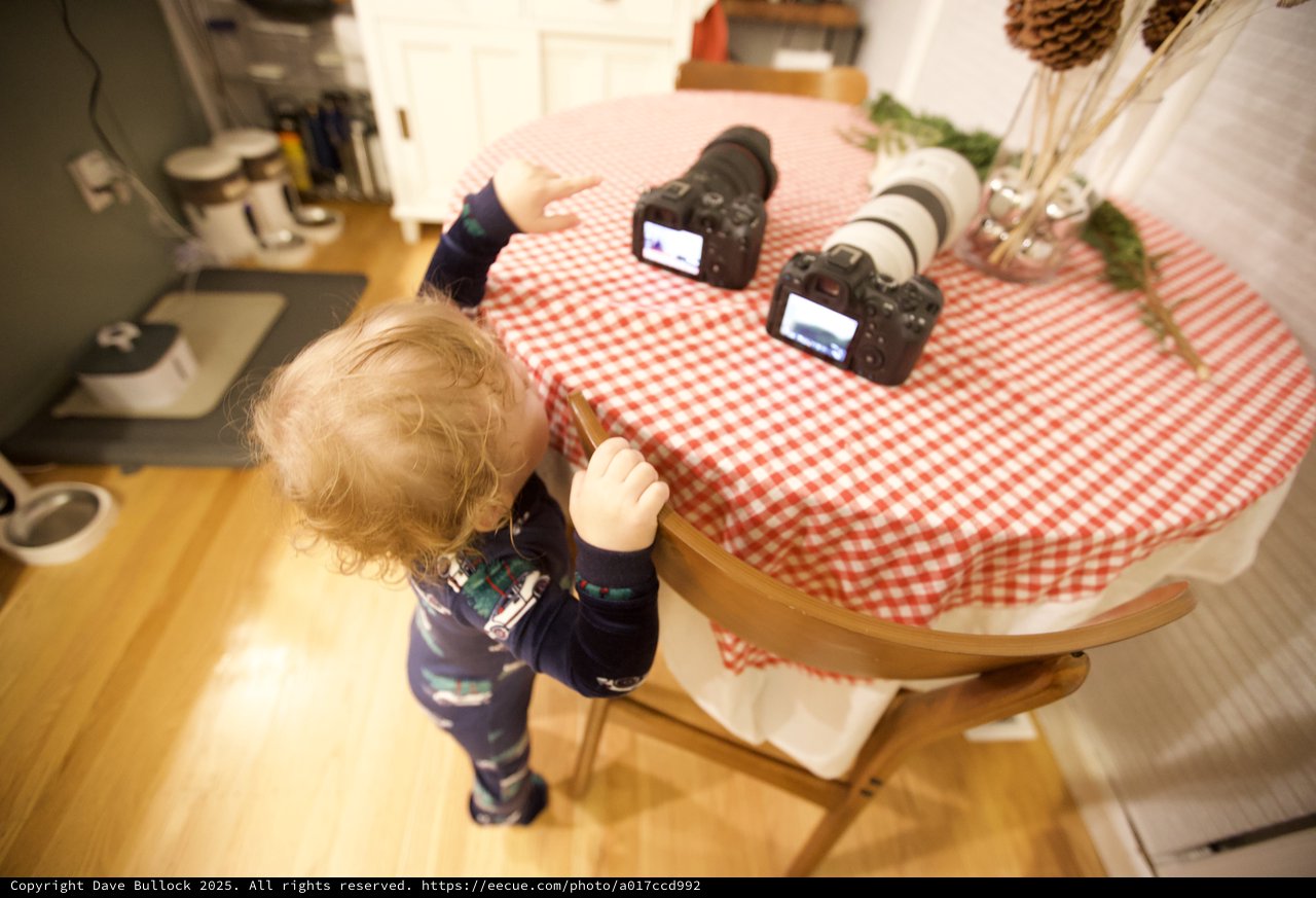 Curious Toddler Explores Photography Equipment on Christmas