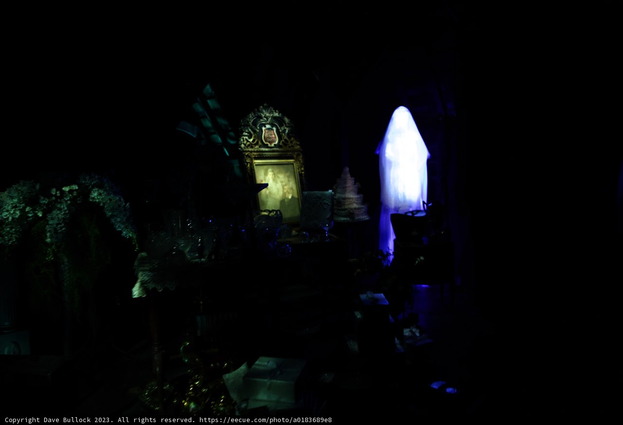 Mysterious Crypt Visit at Disneyland