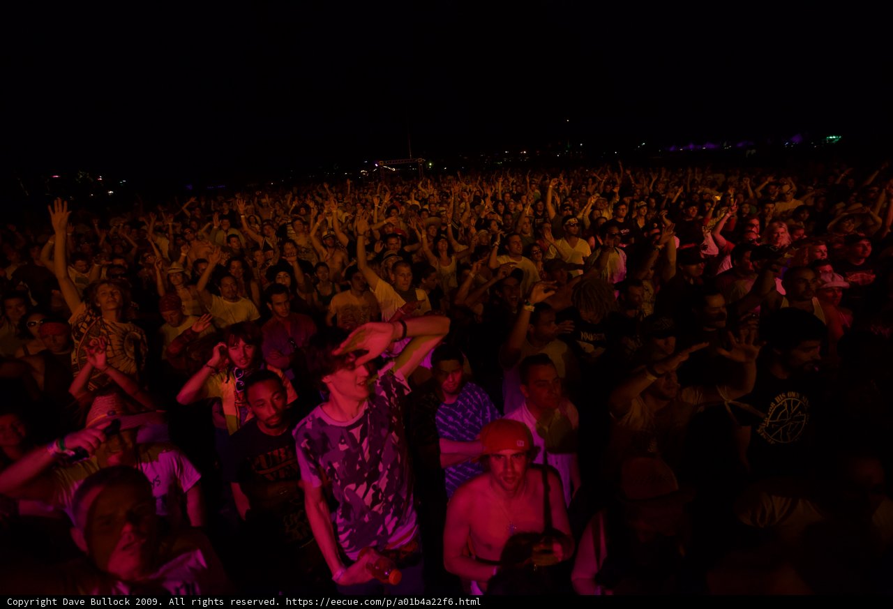 Coachella 2009 Crowd Goes Wild