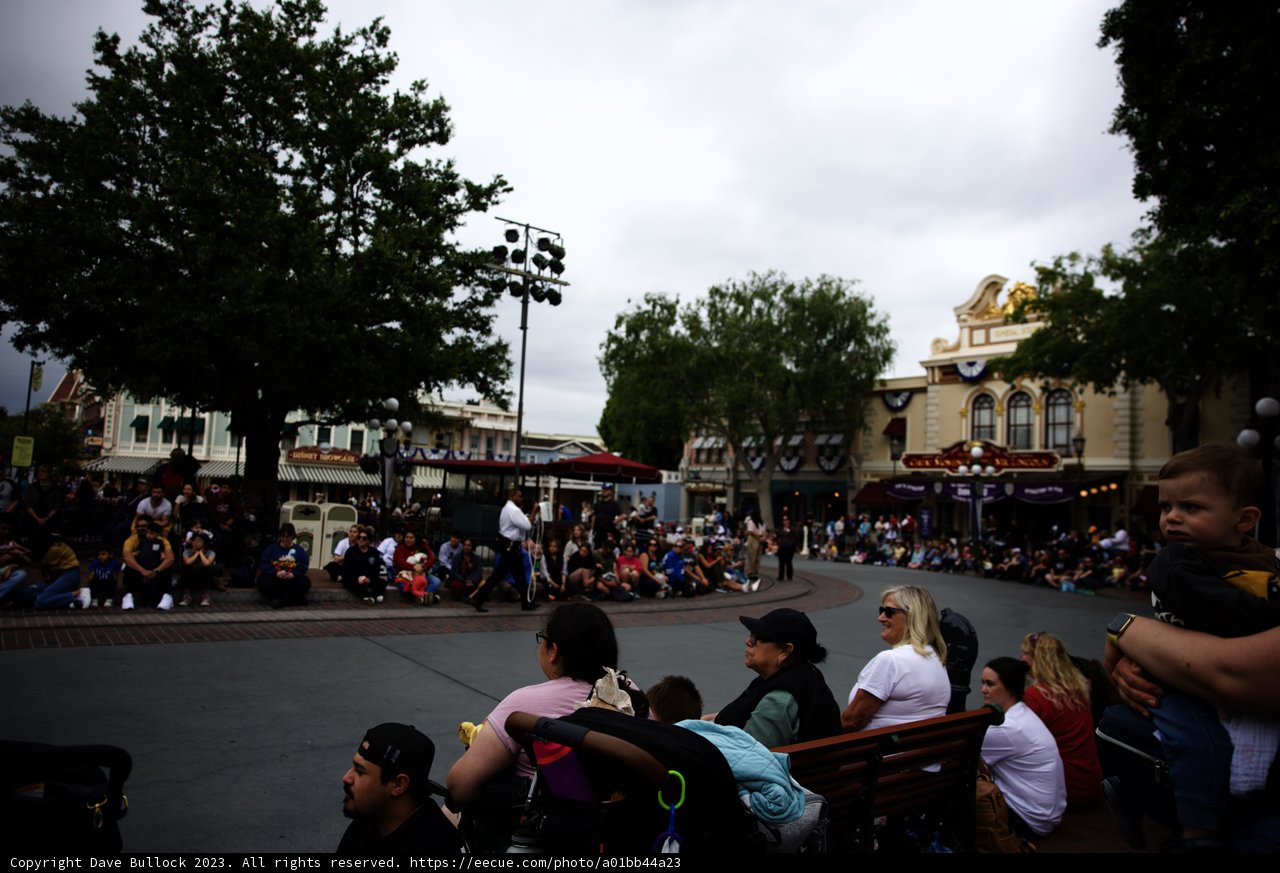 A Bustling Day at Disneyland