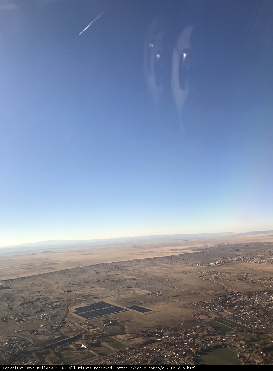 Desert Oasis