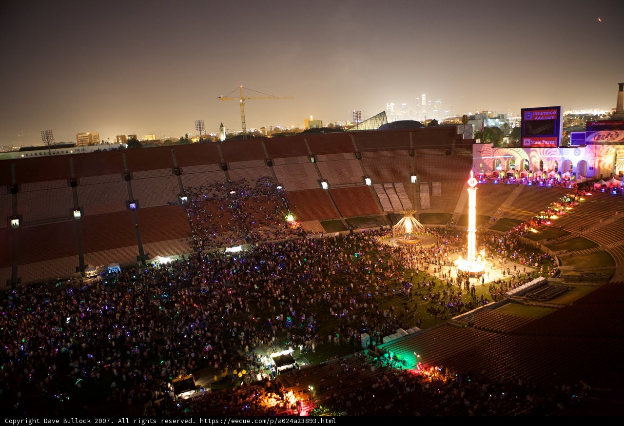 Electric Crowd at the Night Stadium