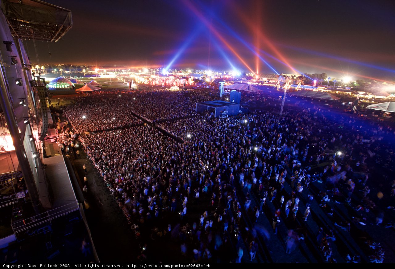 Bright Lights and Crowded Nights