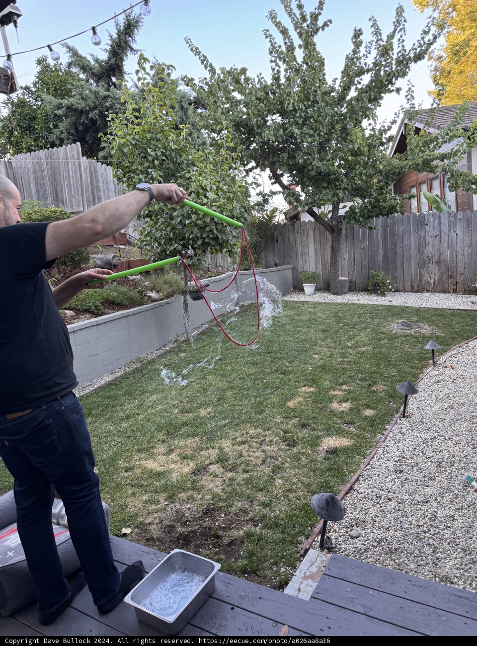Backyard Bubble Bliss