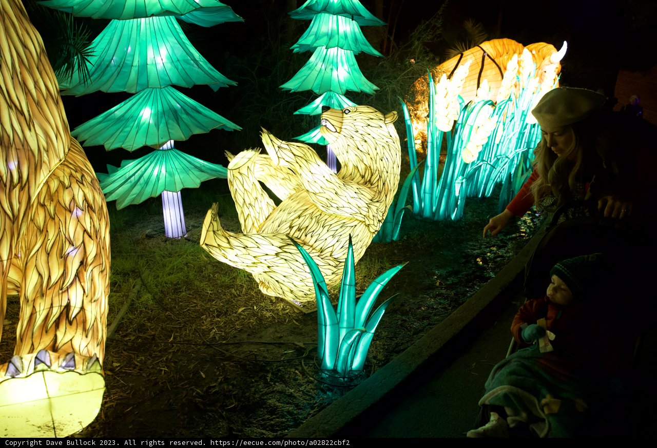 Magical Night at Glowfari, Oakland Zoo, 2023
