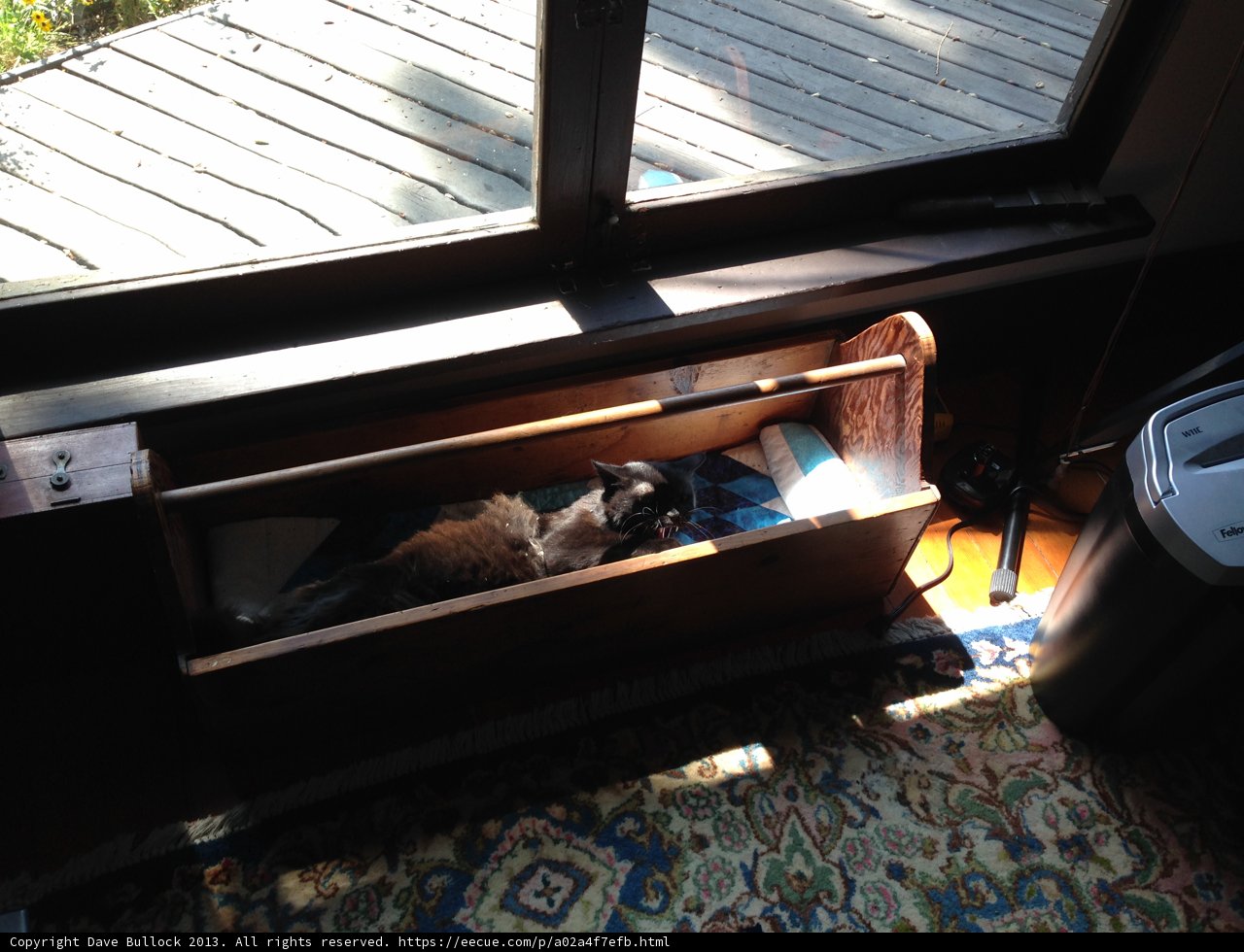 Cozy Cat in Wood Drawer